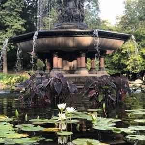 Meet your Posher, Monica